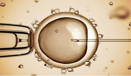 Awarded-IVF-Clinic