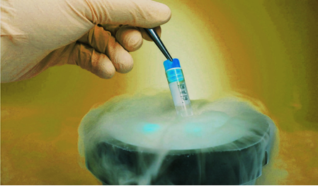 Awarded-IVF-Clinic