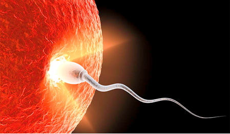 Awarded-IVF-Clinic