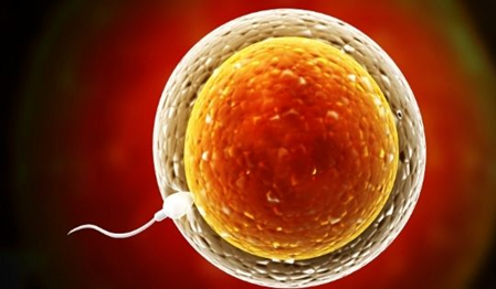 Awarded-IVF-Clinic