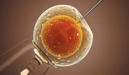 Awarded-IVF-Clinic