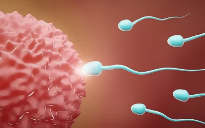 Sperm Count : शुक्राणूंची संख्या वाढवण्याचे ५ प्रभावी मार्ग