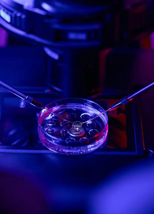 Embryo-Freeze-Conceive-IVF-Pune-Dr-Madhuri-Roy